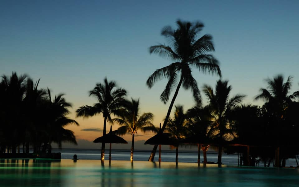 Palm Trees at night in the pool, Mauritius