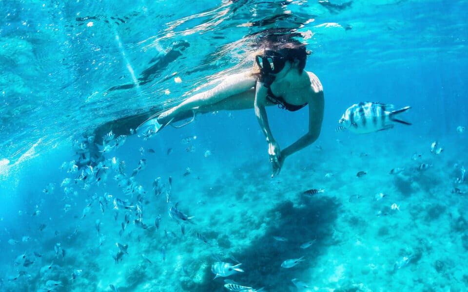 Snorkelling in Mauritius