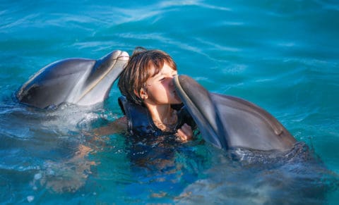 Moon Palace Jamaica Kid Dolphins