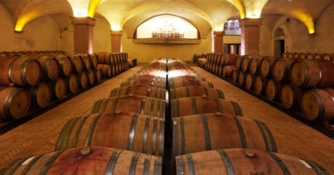 rosewood-castiglion-del-boso-cellar