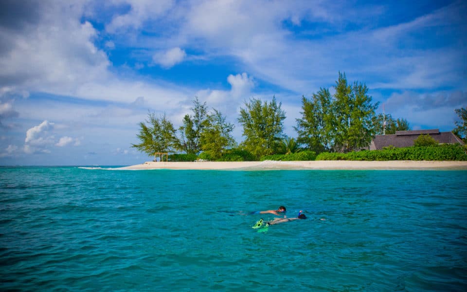 Denis Private Island Snorkelling