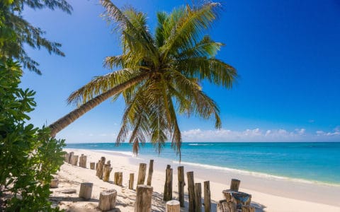 Denis Private Island Beach