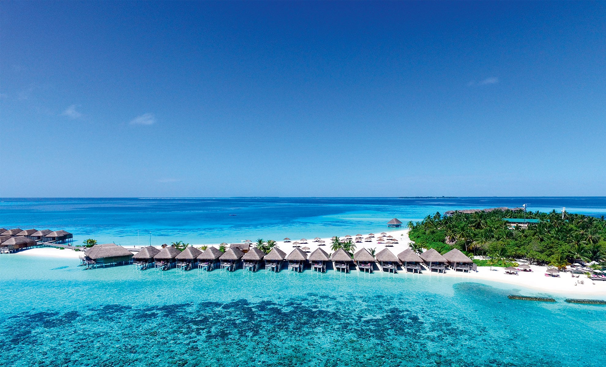 Trending Resort