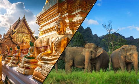 Bangkok, Chiang Mai & Phuket Holiday