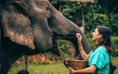 Chiang Mai